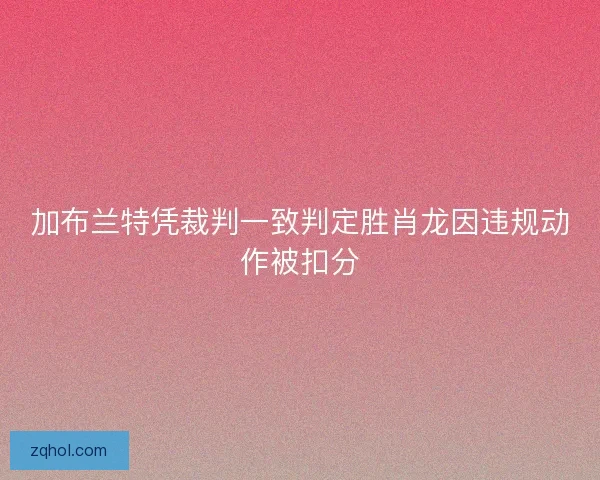 加布兰特凭裁判一致判定胜肖龙因违规动作被扣分 加布兰特凭裁判一致判定胜肖龙因违规动作被扣分